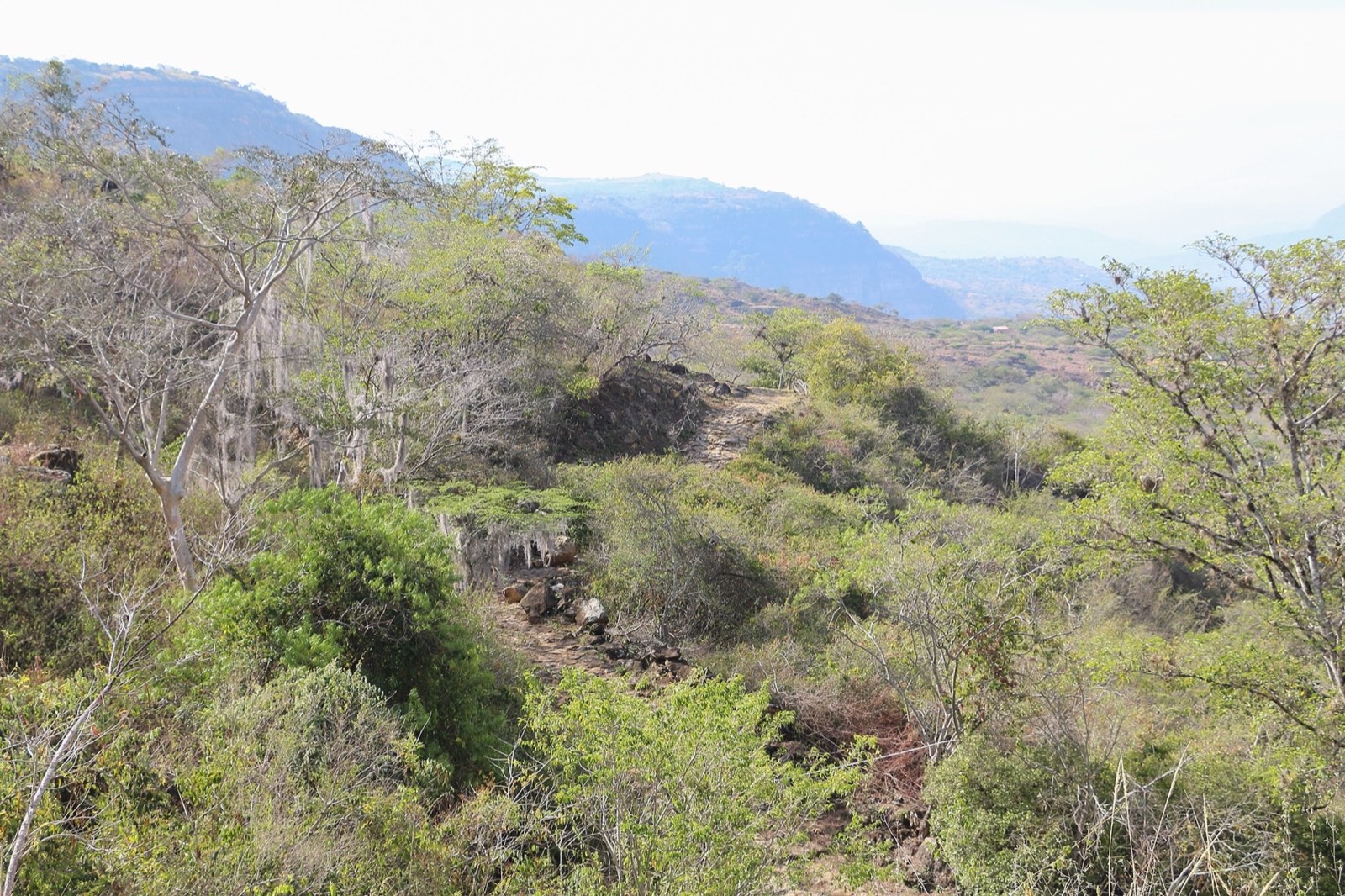 El cañón a la vista