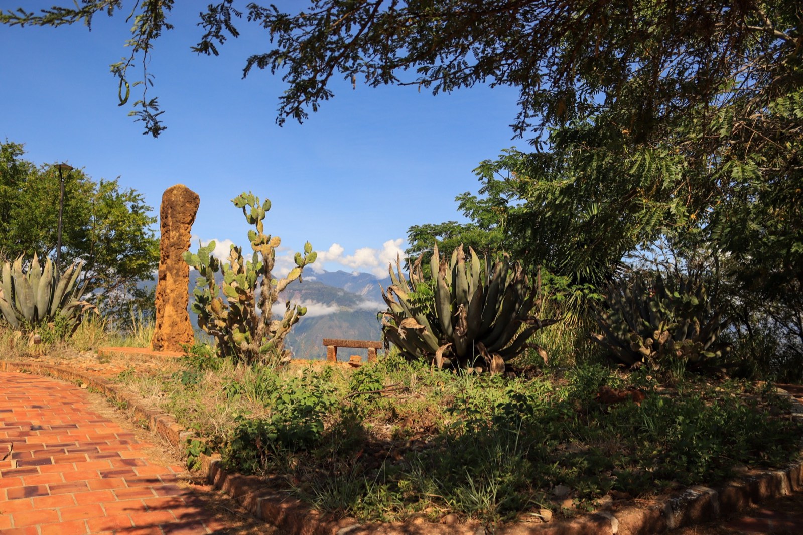 Inicio del Camino Real entre cactus y piedra