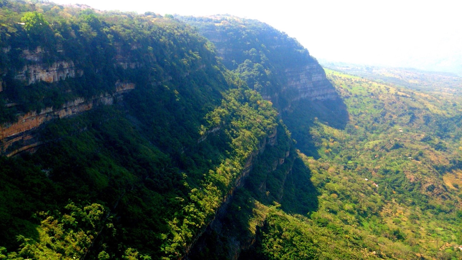 Paredes de roca y bosque