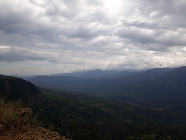 The horizon from the lookout
